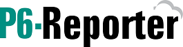 P6-Reporter Logo