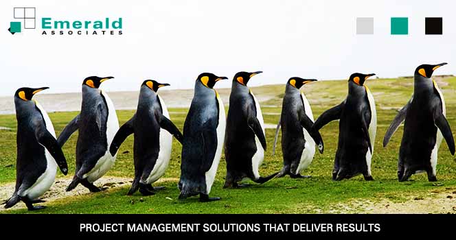 homepage penguin slide caption
