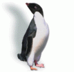 Cerified Oracle Primavera Training by Emerald Associates