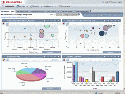Primavera P6 Dashboard