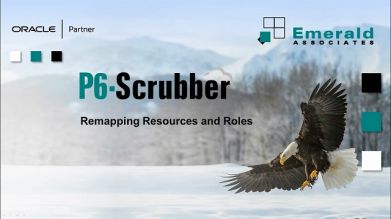 P6-Scrubber - Remapping Resources and Roles in Primavera P6