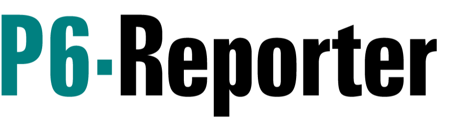 P6-Reporter Logo