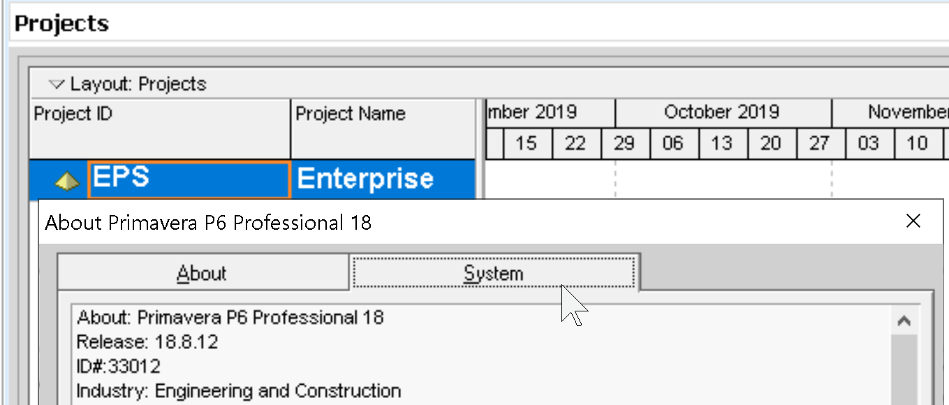 Oracle Primavera P6 Professional 18.8.12