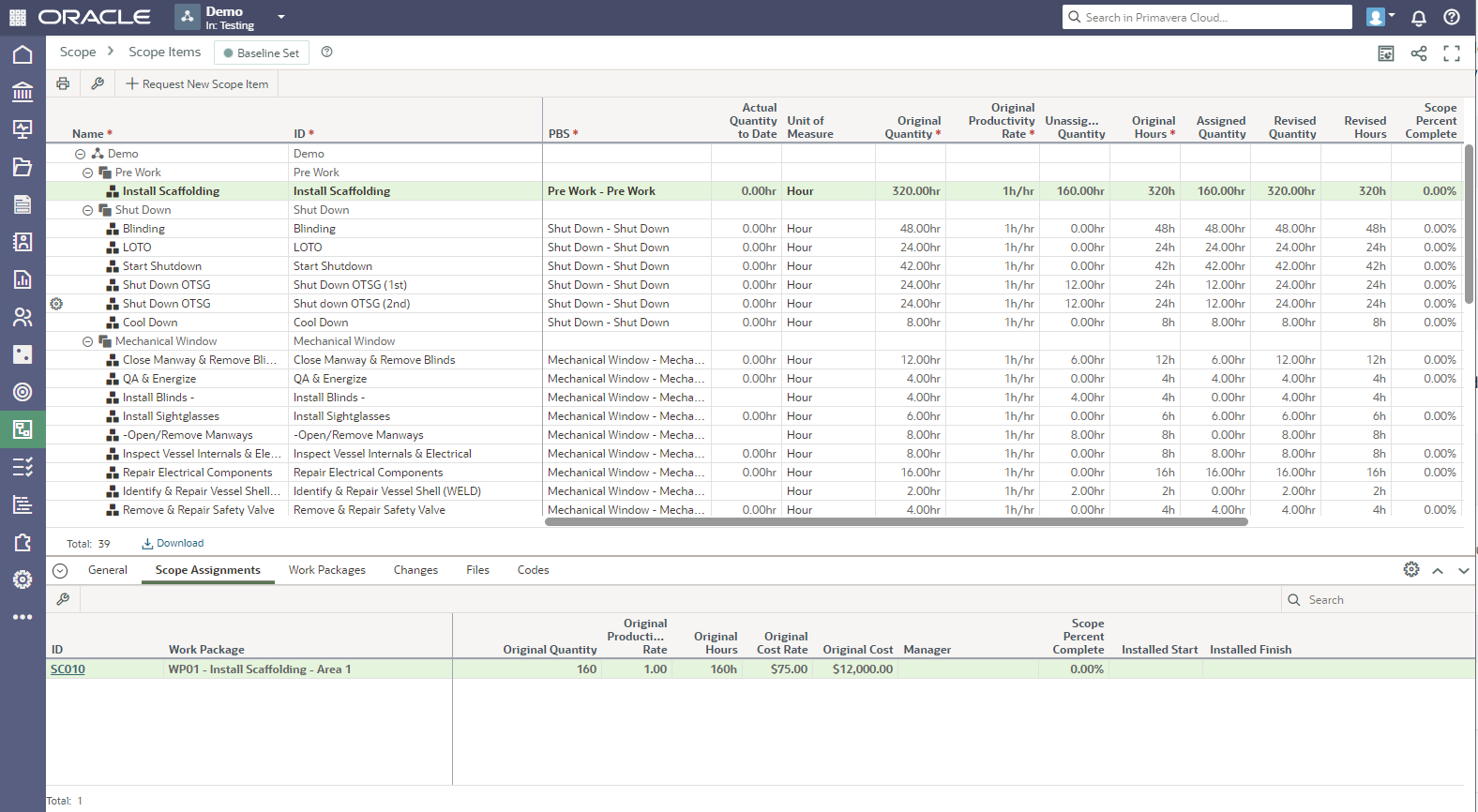 Oracle Primavera Cloud 13 - Scope Items