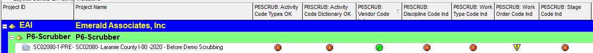 P6-Scrubber 19 Project Pass Fail Indicators