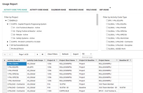 P6-Auditor 3 Usage Reports