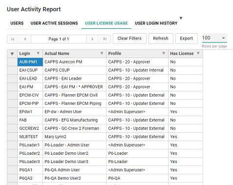 P6-Auditor 4 User Activity Report