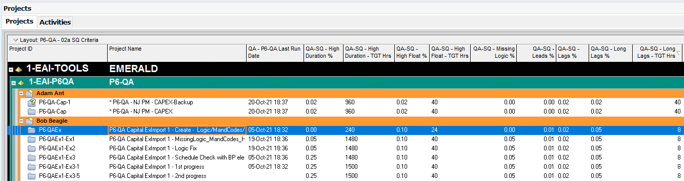 P6-QA 3 P6-QA Customizations