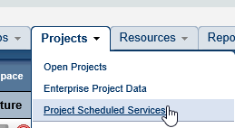 P6 Baseline Project Scheduled Services