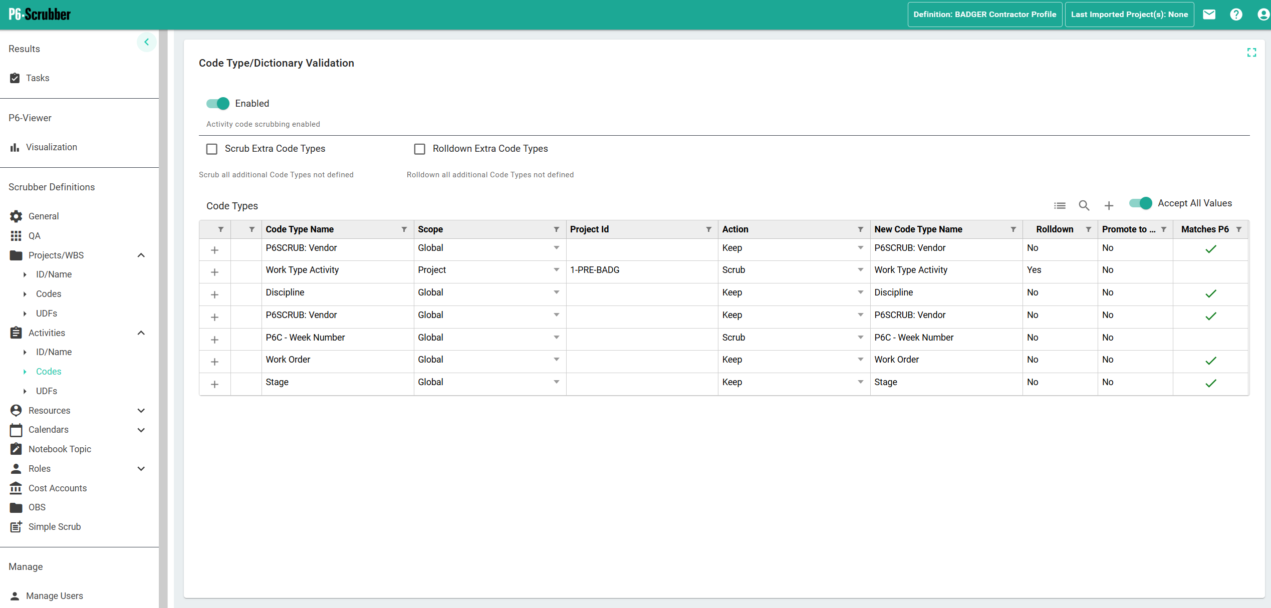 P6-Scrubber - Code Type/Dictionary Validation