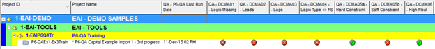 P6-QA Tool - Primavera P6