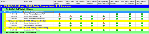 P6-QA Tool - Primavera P6