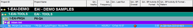 P6 QA Tool