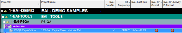 P6-QA Tool