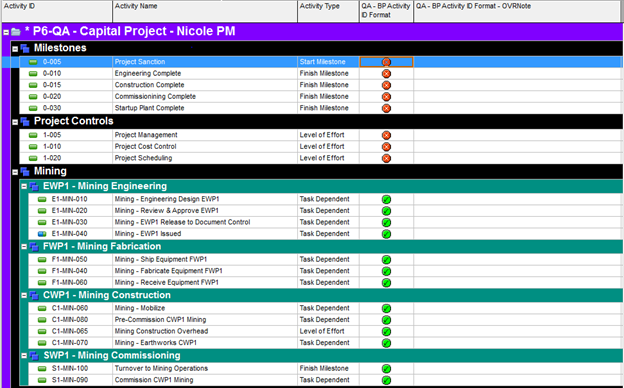 P6-QA Tool 