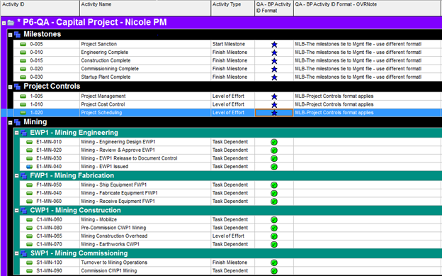 P6-QA Tool