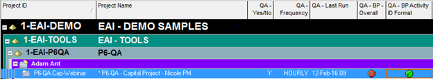 P6-QA Tool 