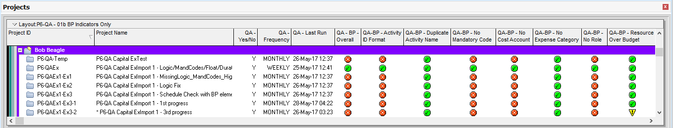 P6 QA and the Project Scheduler business process checks 2