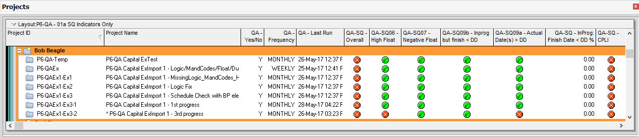 P6 QA and the Project Scheduler criteria 3