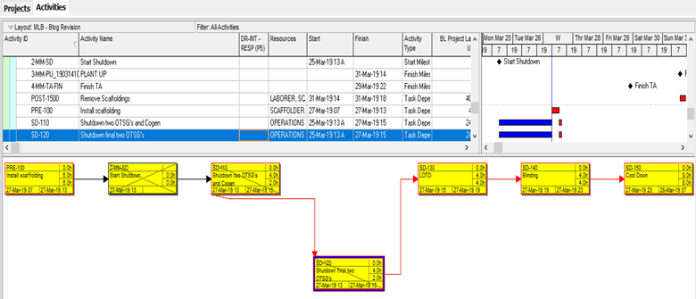 Delayed Activities in Primavera P6