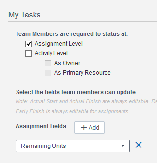 Team Member P6 Version 16.2 2