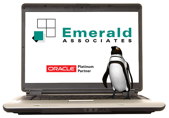 laptop penguin webinars
