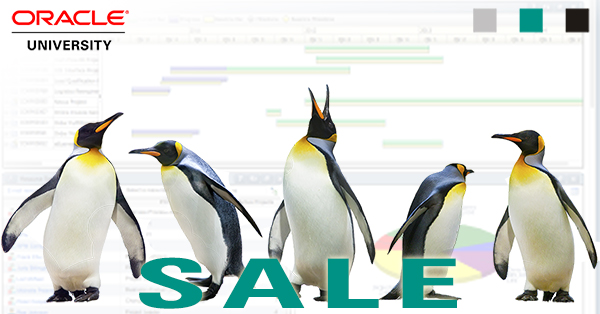 Pasadena Primavera P6 Training Sale