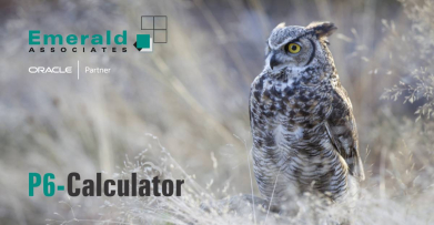 Automate P6 Resource Integration to Workday Using P6-Calculator