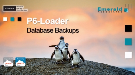 P6-Loader v12 - P6 Database Backups