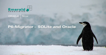 P6-Migrator - SQLite and Oracle