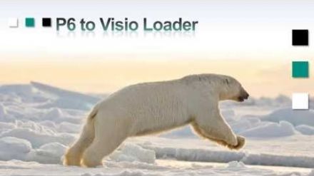 P6 to Visio Loader