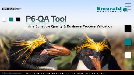 P6-QA Tool Overview - Primavera Process & Schedule Validation