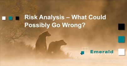 A Risk Analysis Session with Ian Nicholson