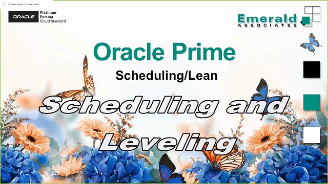 Oracle Prime Webinar - Scheduling and Leveling