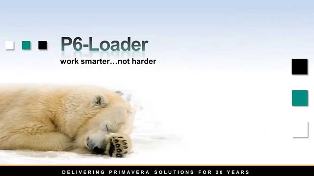 The P6-Loader For Turnaround Projects