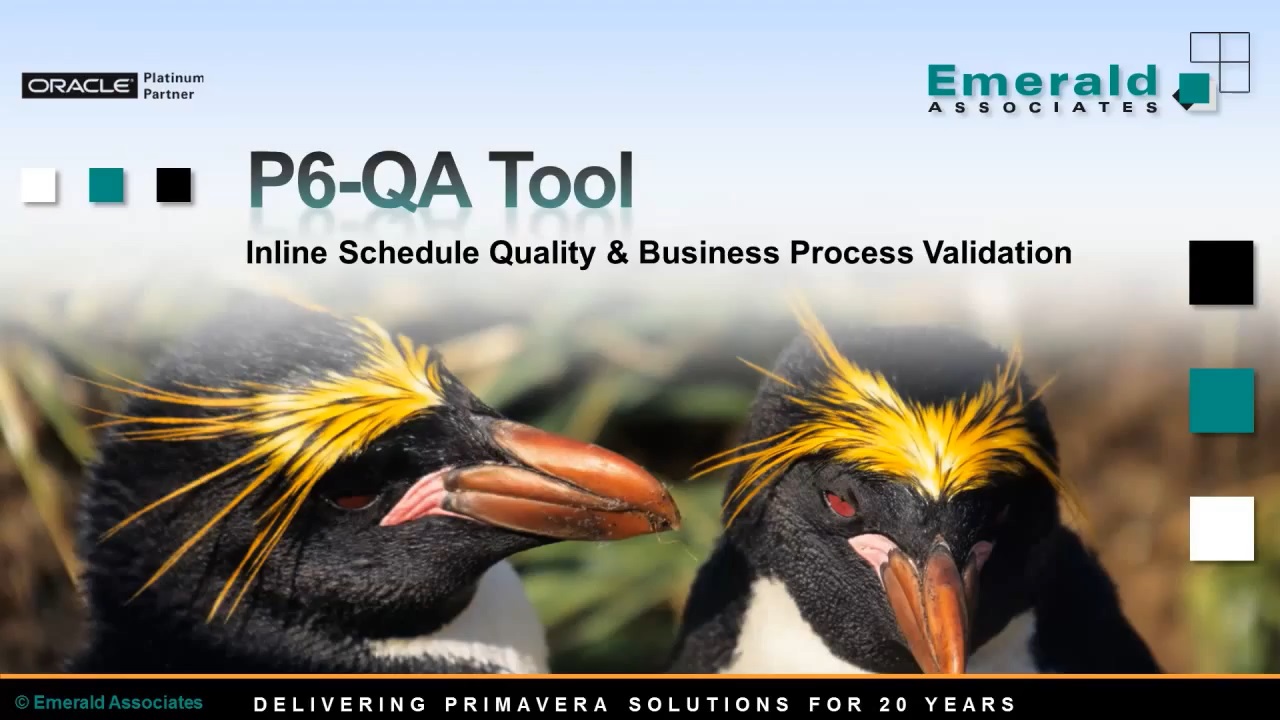 P6-QA Tool Overview - Primavera Process & Schedule Validation