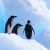 P6-Loader Helped Client with Loading Data and P6 Cleanup