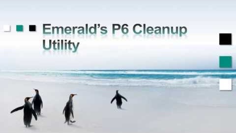 Primavera P6 Cleanup Utility