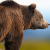 Safran Risk v21 - New Release